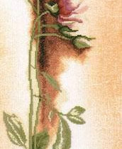 Rosa Botanical (Lanarte) ristipistopakkaus, Käsityöt, Paltamo, Tori.fi