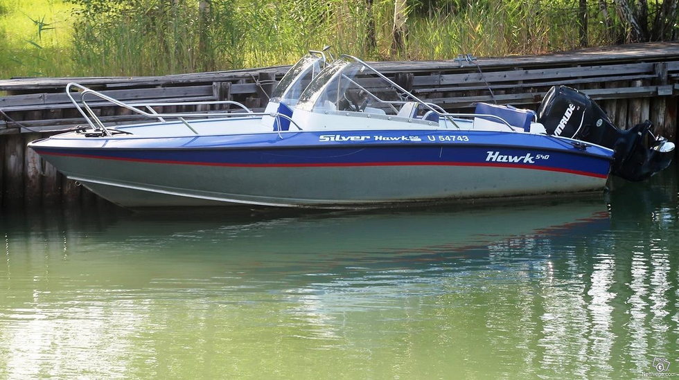 Silver hawk 540 чертеж