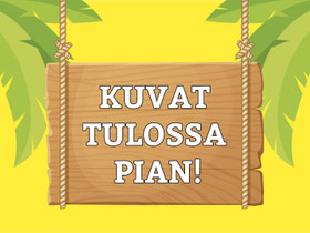 Kia Picanto, Autot, Vantaa, Tori.fi Kia Picanto, Autot, Vantaa, Tori.fi