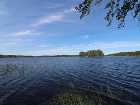 Puumala Muuramäki Katinhännäntie 96, Tontit, Puumala, Tori.fi Puumala Muuramäki Katinhännäntie 96, Tontit, Puumala, Tori.fi