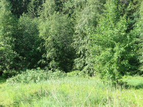 Lahti Nikkilä Sokeritopankatu 23 A, Tontit, Lahti, Tori.fi Lahti Nikkilä Sokeritopankatu 23 A, Tontit, Lahti, Tori.fi