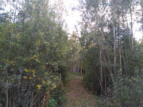Lahti Nastola Mönjätie, Tontit, Lahti, Tori.fi Lahti Nastola Mönjätie, Tontit, Lahti, Tori.fi
