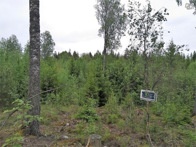 Myrskylä Pakila Huvilatie Myrskylä Pakila Huvilatie