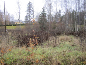 Kirkkonummi Veikkola Nevatie, Tontit, Kirkkonummi, Tori.fi Kirkkonummi Veikkola Nevatie, Tontit, Kirkkonummi, Tori.fi