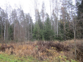 Kirkkonummi Veikkola Rämepolku 3, Tontit, Kirkkonummi, Tori.fi Kirkkonummi Veikkola Rämepolku 3, Tontit, Kirkkonummi, Tori.fi