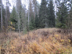 Kirkkonummi Veikkola Rämepolku 5, Tontit, Kirkkonummi, Tori.fi Kirkkonummi Veikkola Rämepolku 5, Tontit, Kirkkonummi, Tori.fi