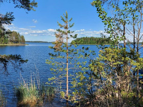 Rantasalmi Voinsalmi Suursalontie, Tontit, Rantasalmi, Tori.fi Rantasalmi Voinsalmi Suursalontie, Tontit, Rantasalmi, Tori.fi