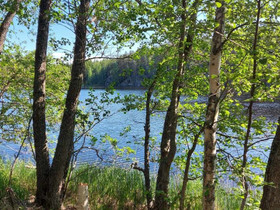 Rantasalmi Voinsalmi Luotsitie, Tontit, Rantasalmi, Tori.fi Rantasalmi Voinsalmi Luotsitie, Tontit, Rantasalmi, Tori.fi