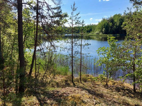 Rantasalmi Voinsalmi Litmantie, Tontit, Rantasalmi, Tori.fi Rantasalmi Voinsalmi Litmantie, Tontit, Rantasalmi, Tori.fi