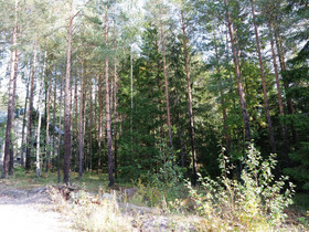 Lohja Vappula Halolankuja 7, Tontit, Lohja, Tori.fi Lohja Vappula Halolankuja 7, Tontit, Lohja, Tori.fi