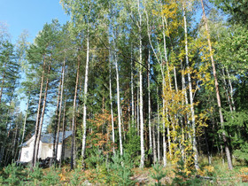 Lohja Vappula Halolankuja 13, Tontit, Lohja, Tori.fi Lohja Vappula Halolankuja 13, Tontit, Lohja, Tori.fi