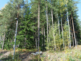 Lohja Vappula Halolankuja 11, Tontit, Lohja, Tori.fi Lohja Vappula Halolankuja 11, Tontit, Lohja, Tori.fi