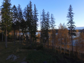 Lappeenranta Joutseno Pellinniementie 5A, Tontit, Lappeenranta, Tori.fi Lappeenranta Joutseno Pellinniementie 5A, Tontit, Lappeenranta, Tori.fi