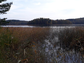 Luhanka Luhanka Luhangantie 467b, Tontit, Luhanka, Tori.fi Luhanka Luhanka Luhangantie 467b, Tontit, Luhanka, Tori.fi