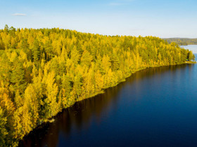Hämeenkyrö Jumesniemi Jumesniementie 561 määräala, Tontit, Hämeenkyrö, Tori.fi Hämeenkyrö Jumesniemi Jumesniementie 561 määräala, Tontit, Hämeenkyrö, Tori.fi