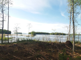 Sysmä Rapala Venäläisniementie 13, Tontit, Sysmä, Tori.fi Sysmä Rapala Venäläisniementie 13, Tontit, Sysmä, Tori.fi