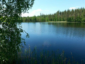 Sulkava Ylisenauvila Kartuntie 51, Tontit, Sulkava, Tori.fi Sulkava Ylisenauvila Kartuntie 51, Tontit, Sulkava, Tori.fi