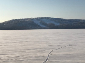 Hollola Häyhtö Häyhdöntie, Tontit, Hollola, Tori.fi Hollola Häyhtö Häyhdöntie, Tontit, Hollola, Tori.fi