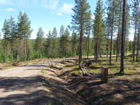 Salla Sallatunturi Puistolantie Tupajallu, Tontit, Salla, Tori.fi Salla Sallatunturi Puistolantie Tupajallu, Tontit, Salla, Tori.fi