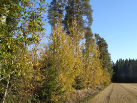 Mäntsälä Numminen Nordbo 220, Tontit, Mäntsälä, Tori.fi Mäntsälä Numminen Nordbo 220, Tontit, Mäntsälä, Tori.fi