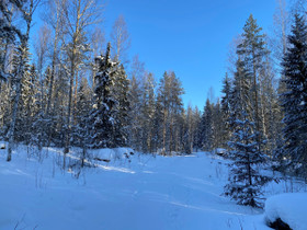 Askola Huuvari Tamminiementie, Tontit, Askola, Tori.fi Askola Huuvari Tamminiementie, Tontit, Askola, Tori.fi