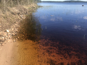 Keuruu Liesjärvi Savilahdenpolku 132, Tontit, Keuruu, Tori.fi Keuruu Liesjärvi Savilahdenpolku 132, Tontit, Keuruu, Tori.fi