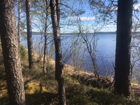 Keuruu Liesjärvi Savilahdenpolku 134, Tontit, Keuruu, Tori.fi Keuruu Liesjärvi Savilahdenpolku 134, Tontit, Keuruu, Tori.fi