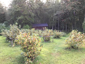 3H, 64m², Parkkilantie, Mikkeli, Vuokrattavat asunnot, Asunnot, Mikkeli, Tori.fi 3H, 64m², Parkkilantie, Mikkeli, Vuokrattavat asunnot, Asunnot, Mikkeli, Tori.fi