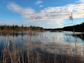 Rantasalmi Voinsalmi Suursalontie, Tontit, Rantasalmi, Tori.fi Rantasalmi Voinsalmi Suursalontie, Tontit, Rantasalmi, Tori.fi