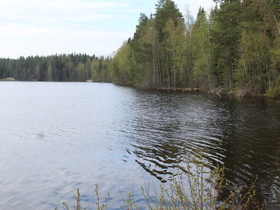 Mänttä-Vilppula Ritoniemi Pohjaslahdentie 2338, Tontit, Mänttä-Vilppula, Tori.fi Mänttä-Vilppula Ritoniemi Pohjaslahdentie 2338, Tontit, Mänttä-Vilppula, Tori.fi