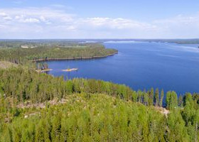 2802m², NOKANTIE, Ylöjärvi, Tontit, Ylöjärvi, Tori.fi 2802m², NOKANTIE, Ylöjärvi, Tontit, Ylöjärvi, Tori.fi
