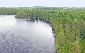 4000m², Koivulantie 7 C, Liperi, Tontit, Liperi, Tori.fi 4000m², Koivulantie 7 C, Liperi, Tontit, Liperi, Tori.fi
