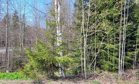 981m², Herttakatu 1, Riihimäki, Tontit, Riihimäki, Tori.fi 981m², Herttakatu 1, Riihimäki, Tontit, Riihimäki, Tori.fi