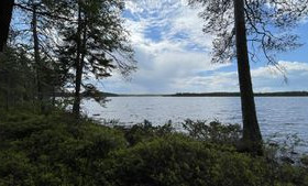 2400m², Simoniementie, Ranua, Tontit, Ranua, Tori.fi 2400m², Simoniementie, Ranua, Tontit, Ranua, Tori.fi