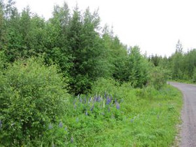 2408m², Räinänmäentie 9, Orimattila, Tontit, Orimattila, Tori.fi 2408m², Räinänmäentie 9, Orimattila, Tontit, Orimattila, Tori.fi