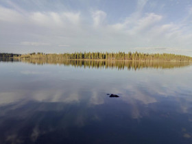 Joensuu Eno Voimalaitoksentie 415 Rantatontti - sh, Tontit, Joensuu, Tori.fi Joensuu Eno Voimalaitoksentie 415 Rantatontti - sh, Tontit, Joensuu, Tori.fi