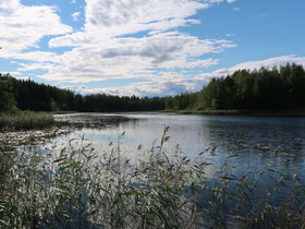 Rantasalmi Voinsalmi Litmantie, Tontit, Rantasalmi, Tori.fi Rantasalmi Voinsalmi Litmantie, Tontit, Rantasalmi, Tori.fi