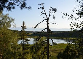2490m², Kyynärkuja, Lohja, Tontit, Lohja, Tori.fi 2490m², Kyynärkuja, Lohja, Tontit, Lohja, Tori.fi