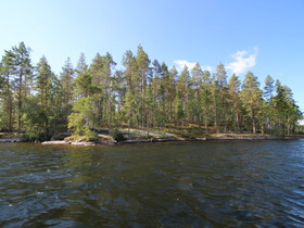 Hirvensalmi Hämeenmäki Varpasaari, Suontee, Hirven, Tontit, Hirvensalmi, Tori.fi Hirvensalmi Hämeenmäki Varpasaari, Suontee, Hirven, Tontit, Hirvensalmi, Tori.fi