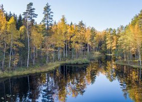 1.54 ha, Kaidanpääntie 433, Hyvinkää, Tontit, Hyvinkää, Tori.fi 1.54 ha, Kaidanpääntie 433, Hyvinkää, Tontit, Hyvinkää, Tori.fi