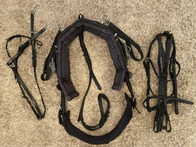 QH Silat, ohjat, suitset sekillä, Satulat ja varusteet, Hevoset ja hevosurheilu, Vaasa, Tori.fi QH Silat, ohjat, suitset sekillä, Satulat ja varusteet, Hevoset ja hevosurheilu, Vaasa, Tori.fi