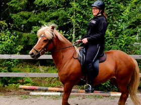Etsin vuokraheppaa, Hevoset ja ponit, Hevoset ja hevosurheilu, Hattula, Tori.fi Etsin vuokraheppaa, Hevoset ja ponit, Hevoset ja hevosurheilu, Hattula, Tori.fi