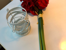 Pentik kynttilälyhty ja amaryllis, Sisustustavarat, Sisustus ja huonekalut, Espoo, Tori.fi Pentik kynttilälyhty ja amaryllis, Sisustustavarat, Sisustus ja huonekalut, Espoo, Tori.fi