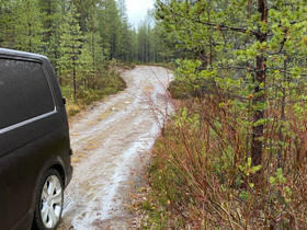 Metsätila, maatila, talousmetsää, Metsätilat ja maatilat, Kuopio, Tori.fi Metsätila, maatila, talousmetsää, Metsätilat ja maatilat, Kuopio, Tori.fi