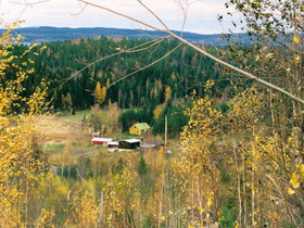 Maatila, tilakeskus, Metsätilat ja maatilat, Kuhmoinen, Tori.fi Maatila, tilakeskus, Metsätilat ja maatilat, Kuhmoinen, Tori.fi