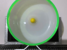 Silent Spinner -juoksupyörä, Muut eläintarvikkeet, Lemmikkieläimet, Valkeakoski, Tori.fi Silent Spinner -juoksupyörä, Muut eläintarvikkeet, Lemmikkieläimet, Valkeakoski, Tori.fi