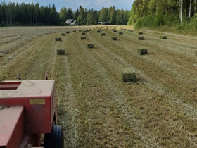 Heinää pienpaaleissa, Maatalous, Pukkila, Tori.fi Heinää pienpaaleissa, Maatalous, Pukkila, Tori.fi