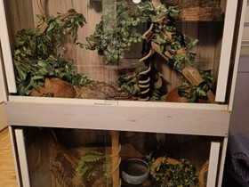 Terraariotorni + kaksi käärmettä, Muut eläintarvikkeet, Lemmikkieläimet, Rauma, Tori.fi Terraariotorni + kaksi käärmettä, Muut eläintarvikkeet, Lemmikkieläimet, Rauma, Tori.fi