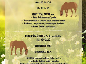 Lasten heppaleirejä kesä 2022 Hankasalmi, Keikat, konsertit ja tapahtumat, Matkat ja liput, Hankasalmi, Tori.fi Lasten heppaleirejä kesä 2022 Hankasalmi, Keikat, konsertit ja tapahtumat, Matkat ja liput, Hankasalmi, Tori.fi