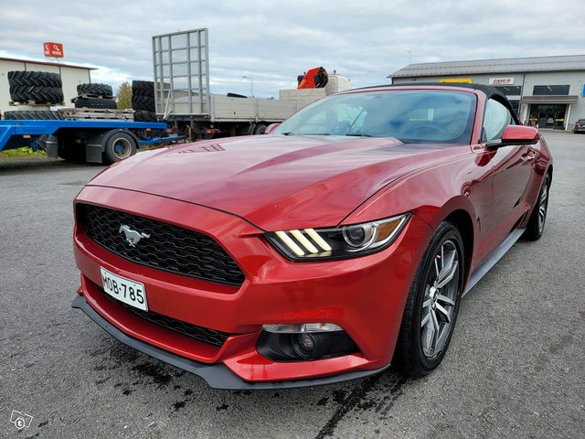 Ford Mustang 16